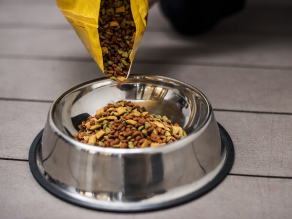 Cuide do Seu Pet com Produtos Especializados para Cada Necessidade